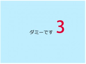 dummy03